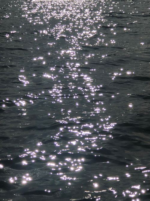 Free Glistening sunlight reflects beautifully on a calm water surface, creating a serene and mesmerizing view. Stock Photo