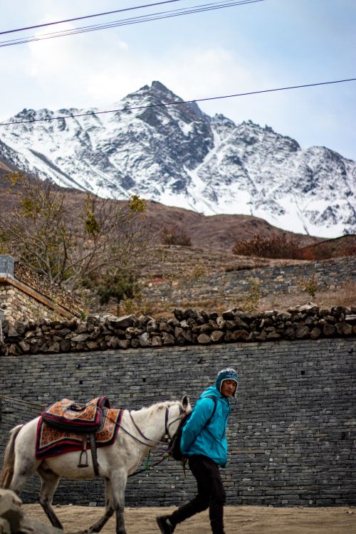 Free A man walks with a horse in front of a snowy mountain, creating a picturesque scene. Stock Photo