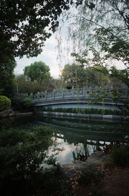 Free A picturesque garden scene featuring a wooden bridge over tranquil water, surrounded by lush greenery. Stock Photo