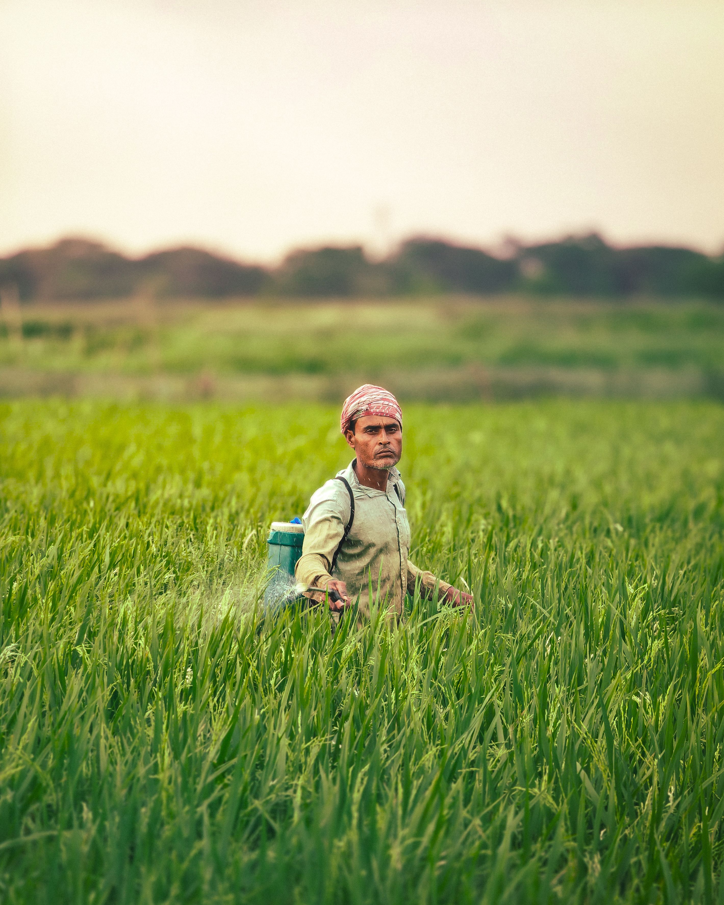 Trabalhador rural em atividade no campo, representando o agronegócio