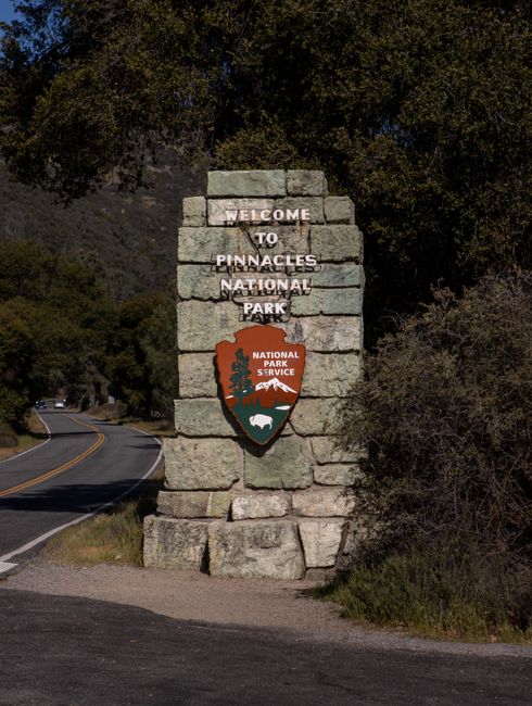 A scenic state park entrance sign beside a forest road and a parked car, no people