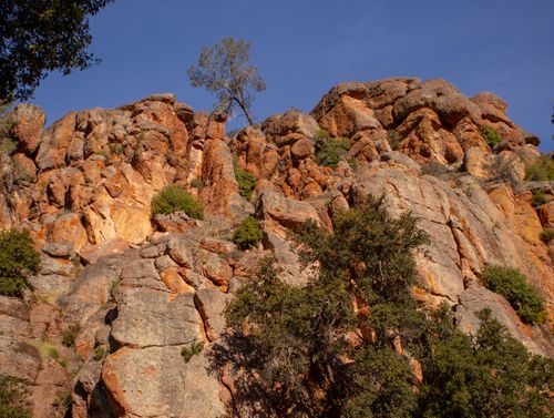 Free Beautiful rock formations in Pinnacles National Park, California, under clear blue skies. Stock Photo