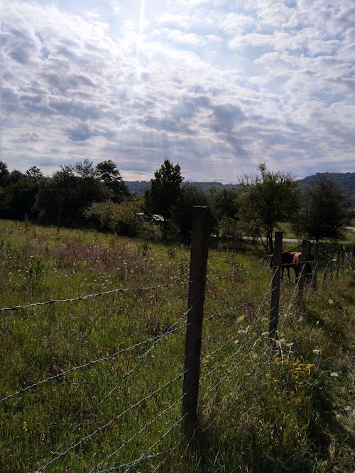 Free stock photo of beautiful sky, beauty of nature, grassfield