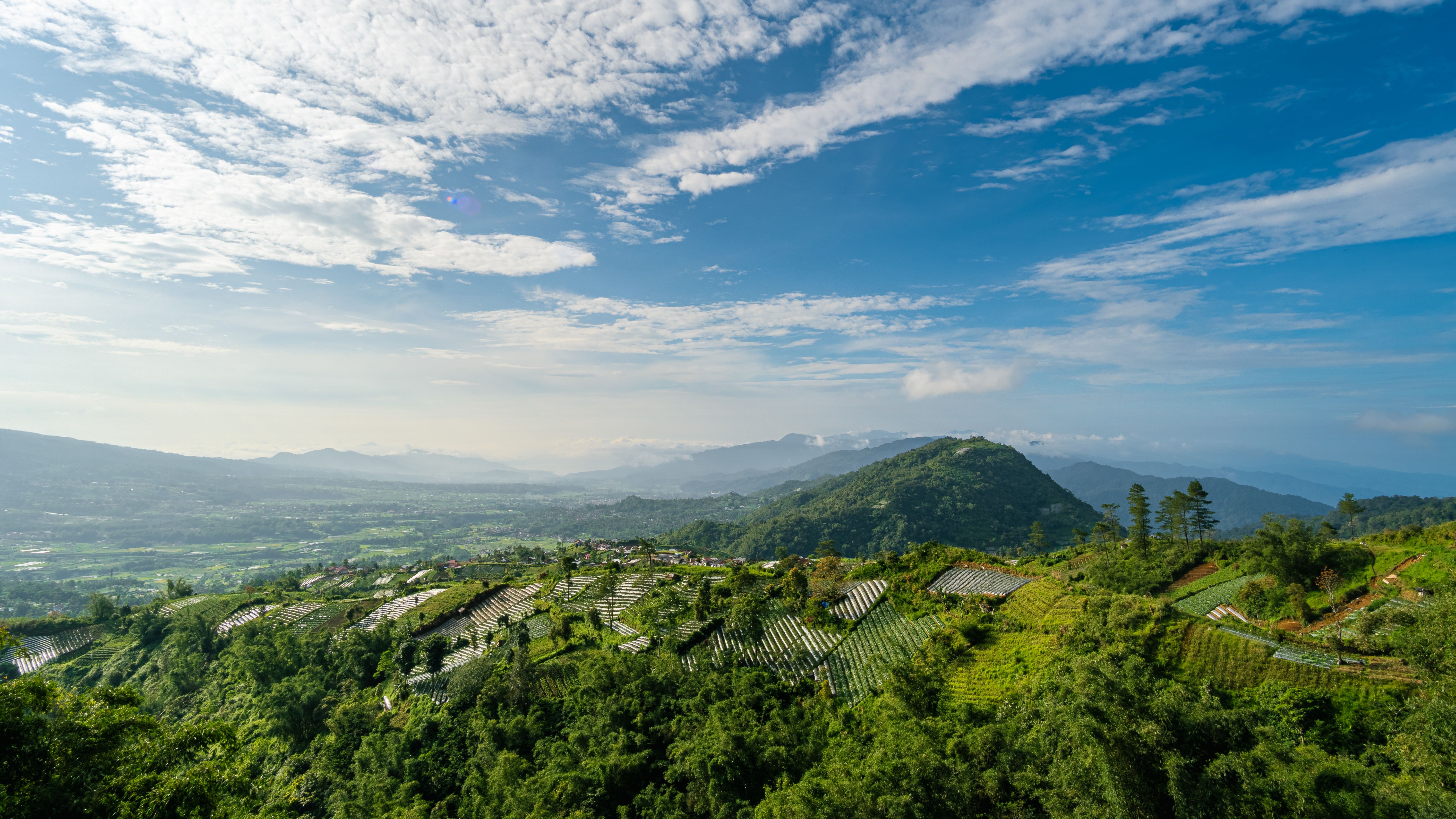 Picturesque Terraced Hillside Under Clear Blue Sky · Free Stock Photo