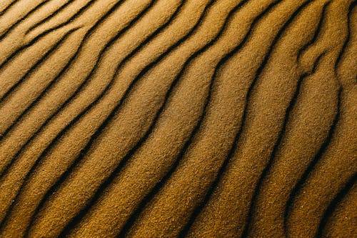 Foto d'estoc gratuïta de arrugat, desert, dunes de sorra