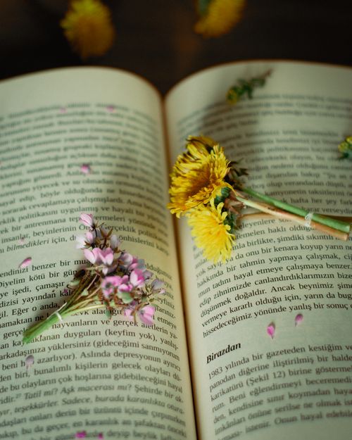 Free Open book with dandelions and text flowers, evoking a poetic and nostalgic springtime feel. Stock Photo