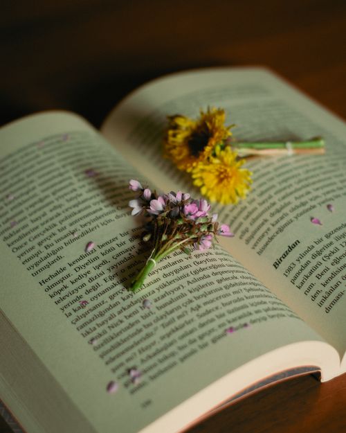 Free Open book with dried flowers and petals resting on its pages, evoking a sense of nostalgia. Stock Photo