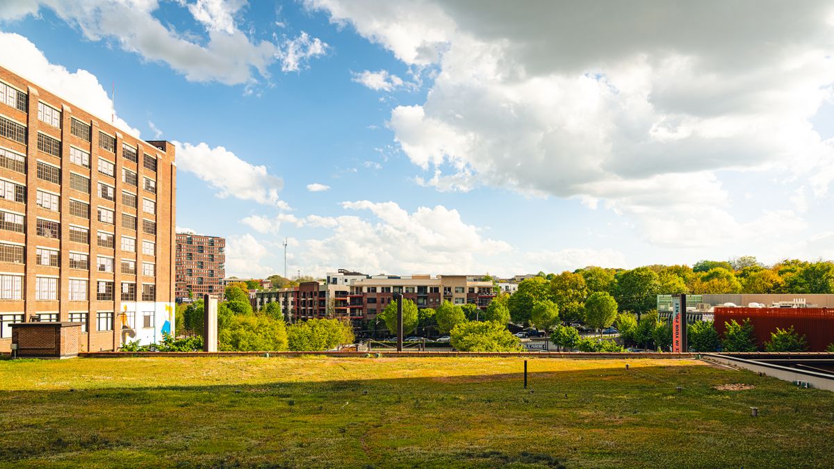 Best Beauty Giveaways in Durham, NC: 2026 Local Guide