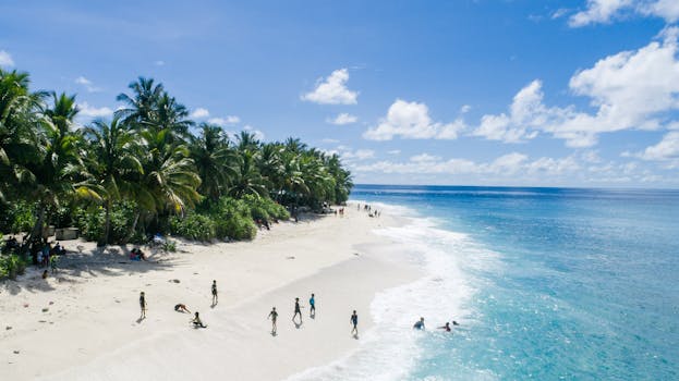 A serene aerial view of a tropical beach with palm trees and clear blue waters in Fuvahmulah, Maldives.