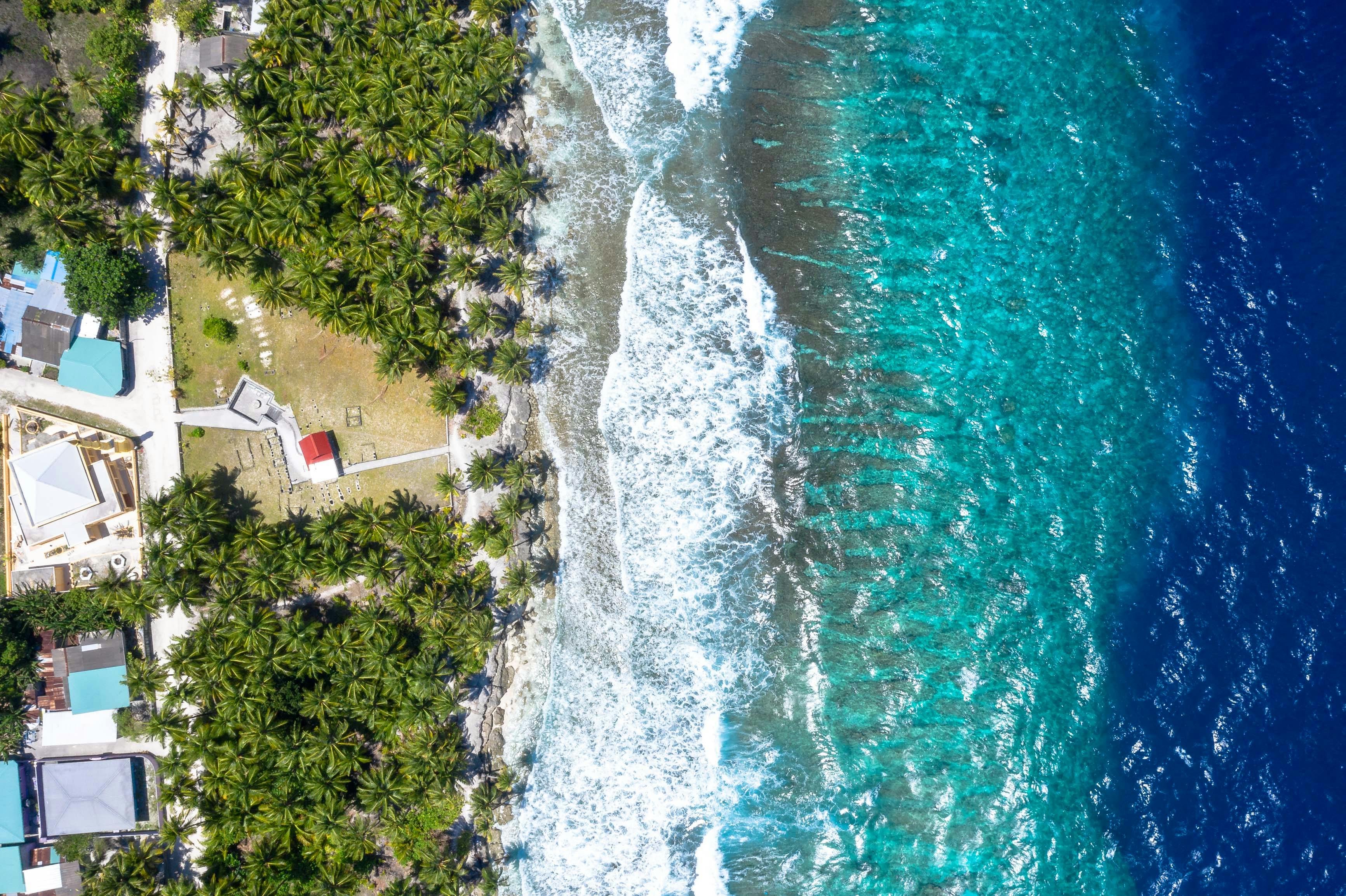 Top View Photography of Green Leafed Trees Near Body of Water