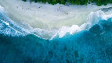 探索这片令人惊叹的热带海滩鸟瞰图，拥有碧绿的海水和充满活力的绿色植物