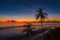 令人惊叹的海滩日落与棕榈轮廓，捕捉到充满活力的色彩和宁静的海景