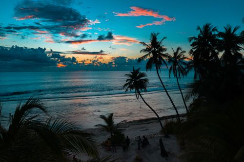 Free Experience the serene sunset over a coconut palm-lined beach in Fuvahmulah, Maldives. Stock Photo