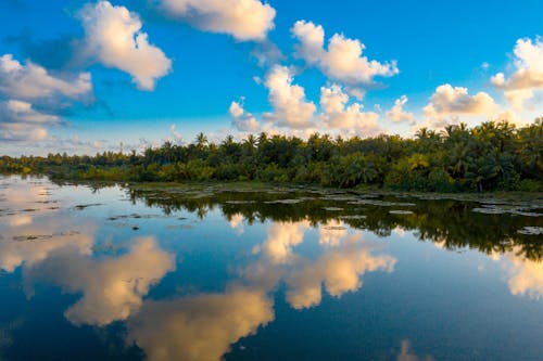 Calm Body of Water