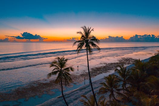 日落时分，热带海滩宁静宜人，棕榈树与柔和的海浪相映成趣