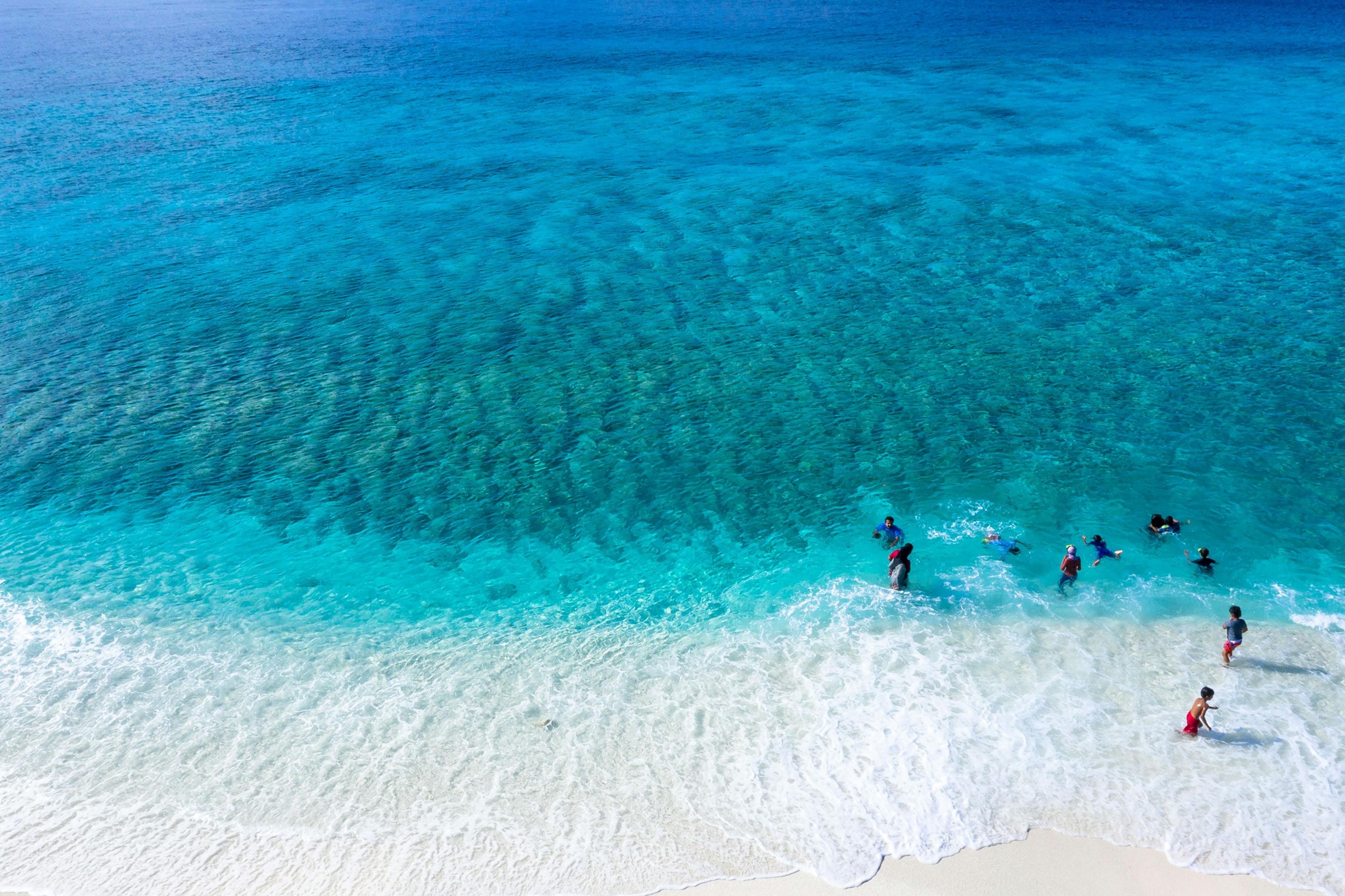 Group of People Swimming on Beach