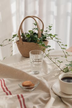 Cozy breakfast setup with a vine plant, coffee, and cookies on a sunlit table.