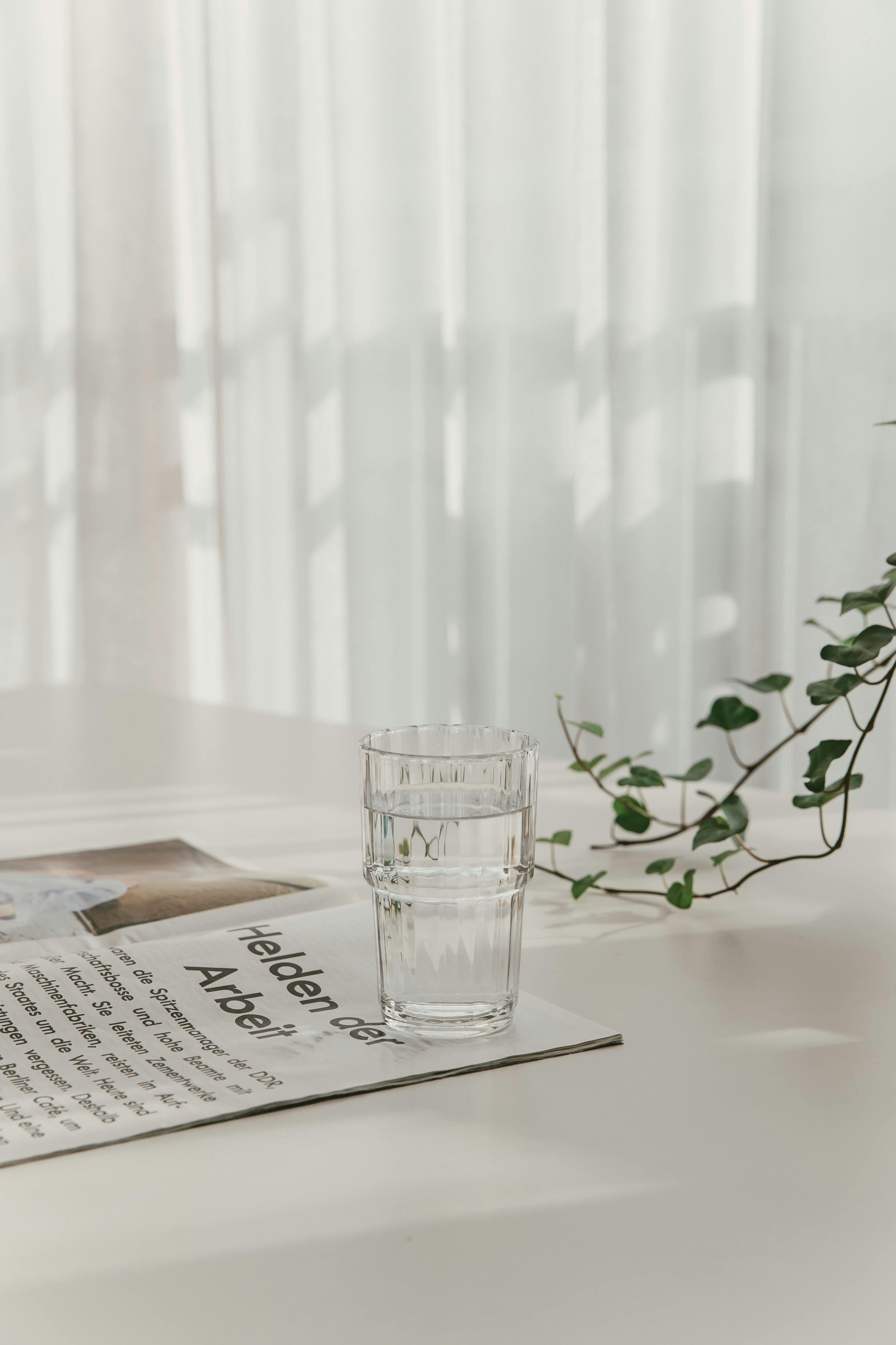 Elegant photo of a glass and magazine on a table with natural light and green vine.