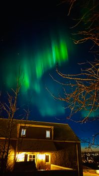 Vibrant aurora borealis illuminates the night sky above Reykjavik, captured in winter.