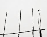 Minimalist Silhouette of Bird on Branches