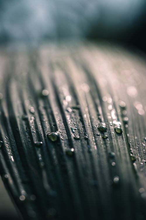 Free A detailed photograph of dew droplets on a leaf, showcasing texture and morning ambiance. Stock Photo