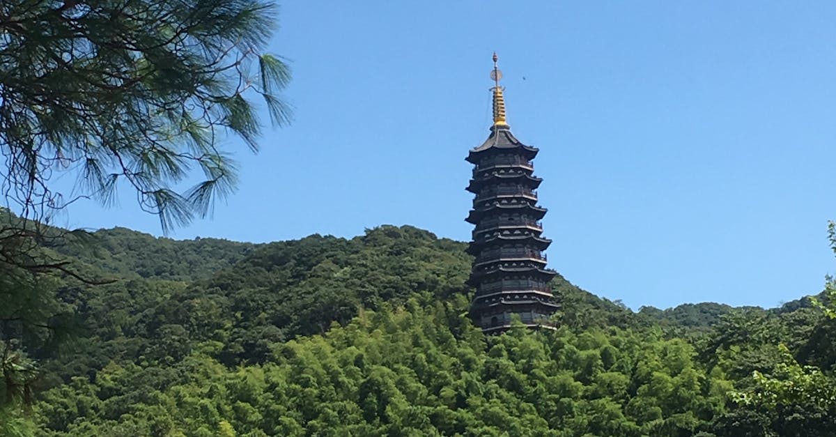 Free stock photo of Chinese pagoda, dark green, pagoda