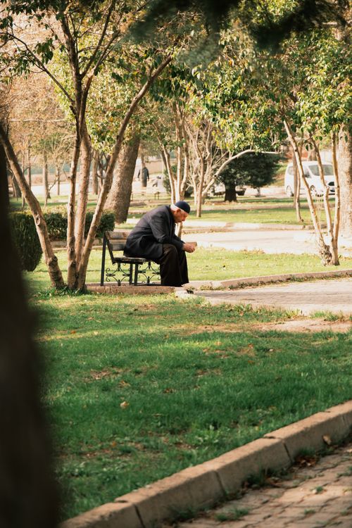 Free An elderly man enjoys a moment of solitude on a park bench surrounded by lush greenery. Stock Photo