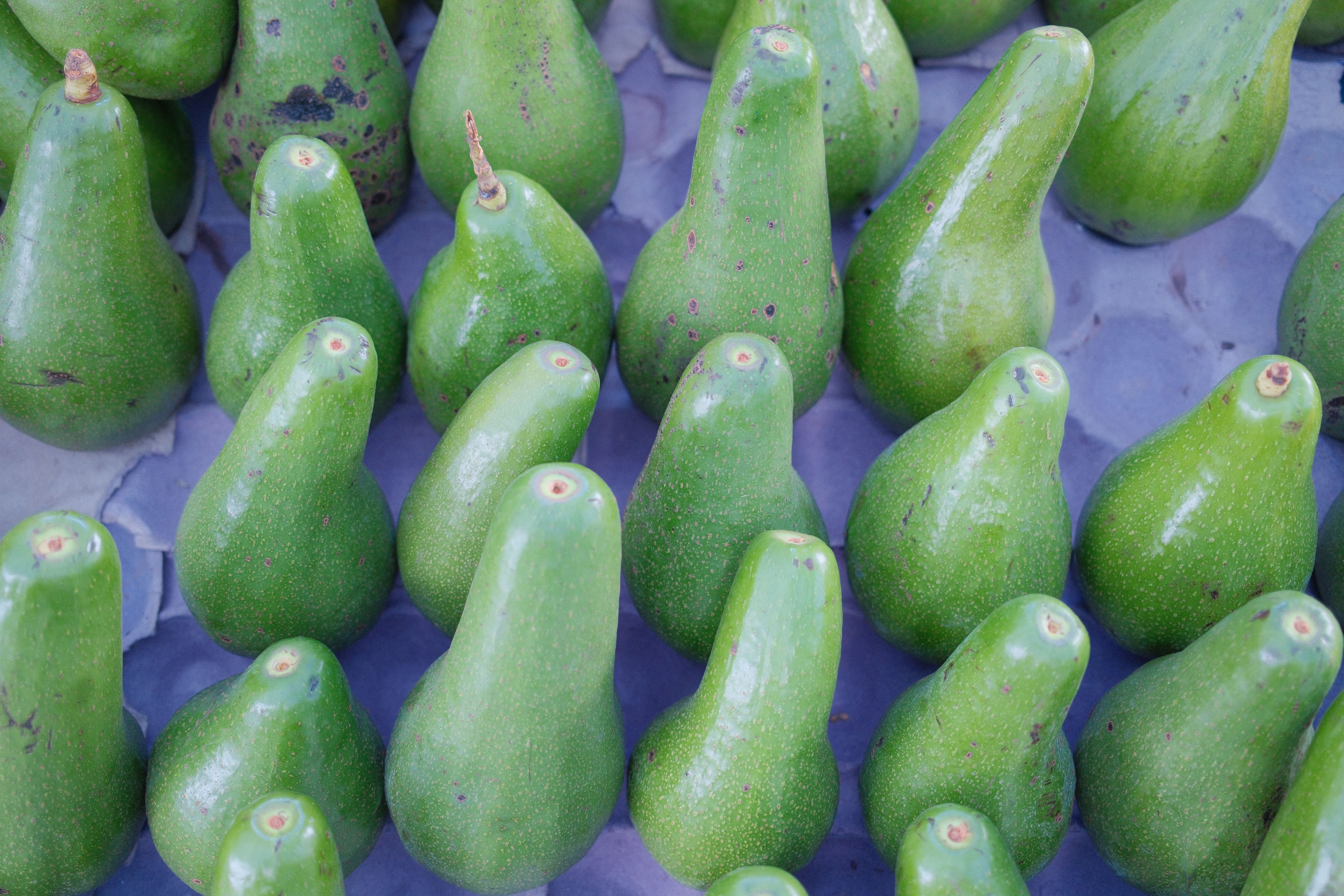 Fresh Vegitable Collection Photos, Download The BEST Free Fresh ...