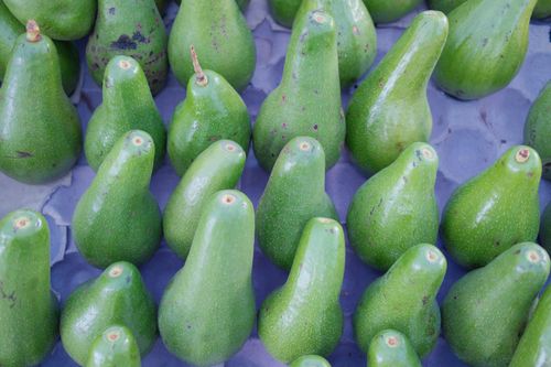 Free Top-down view of ripe green avocados neatly arranged on a display surface. Stock Photo