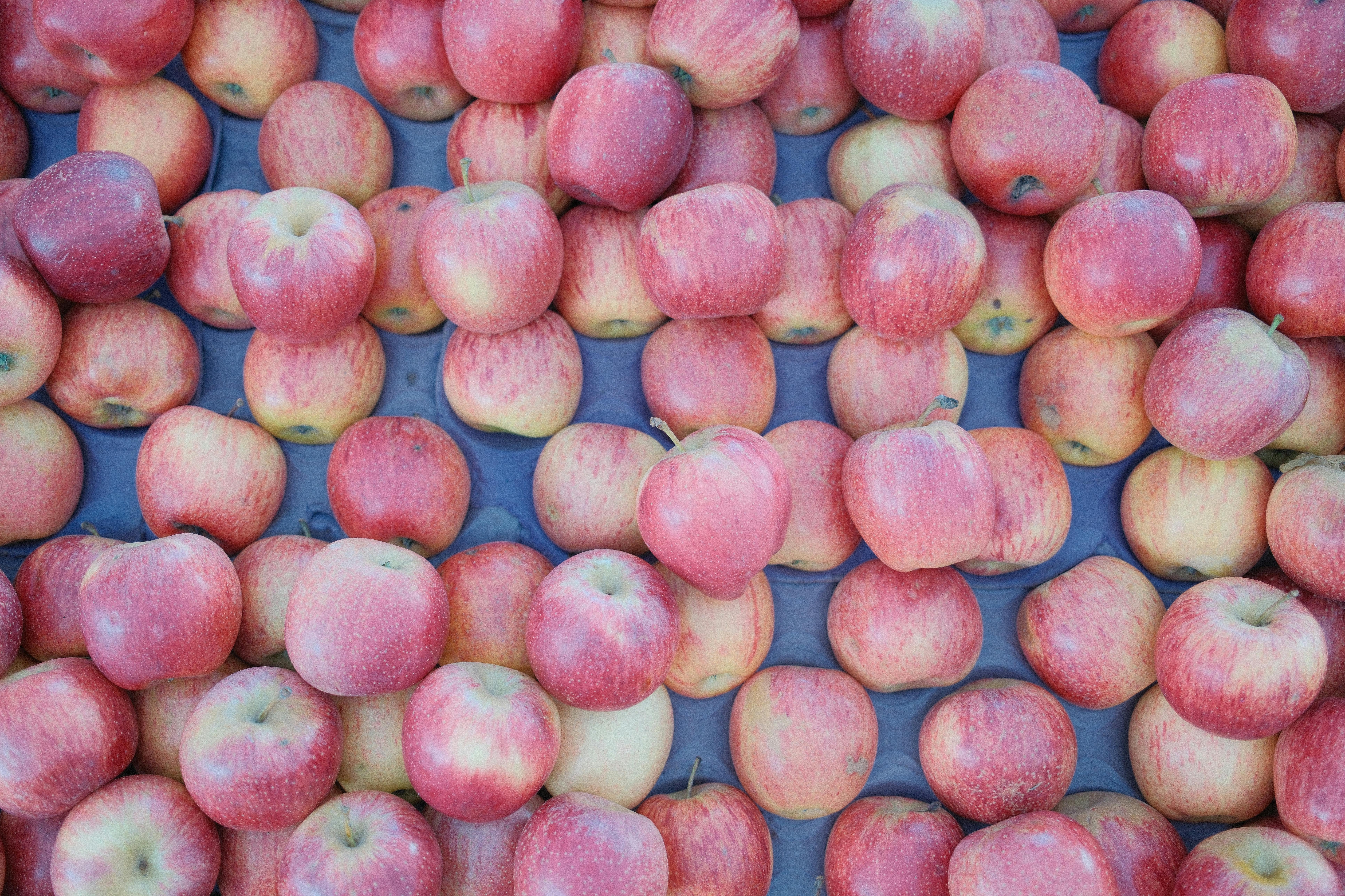 財經：你該知道的蘋果庫克訪華背後的商業考量與挑戰