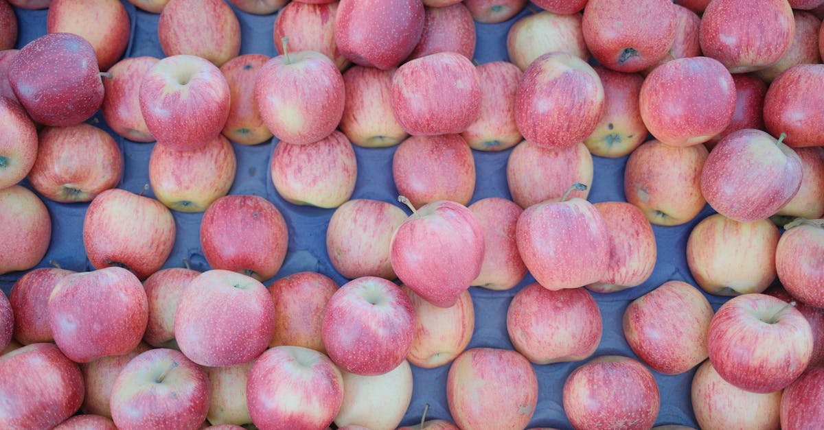 財經:你該知道的蘋果庫克訪華背後的商業考量與挑戰