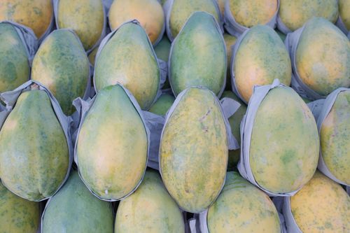 Free A vibrant collection of ripe green papayas neatly arranged, ideal for healthy eating concepts. Stock Photo