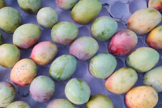 Vibrant array of fresh mangoes with red and green hues on a textured surface.