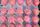 dragon fruit