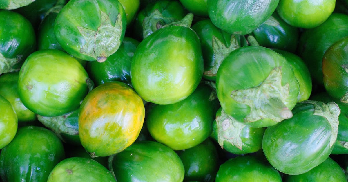 彭部長有話說:綠色生活低碳飲食研討會精彩開場