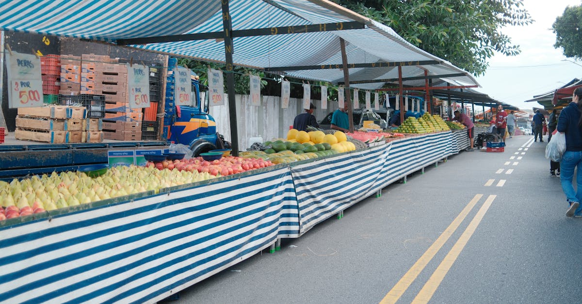 因應對等關稅衝擊,陳冲建議分散市場以降低風險