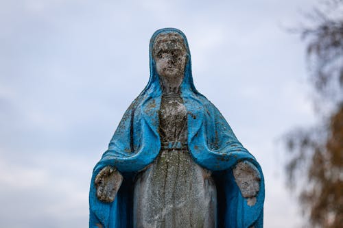 Бесплатное стоковое фото с дева мария, день всех святых, замостье