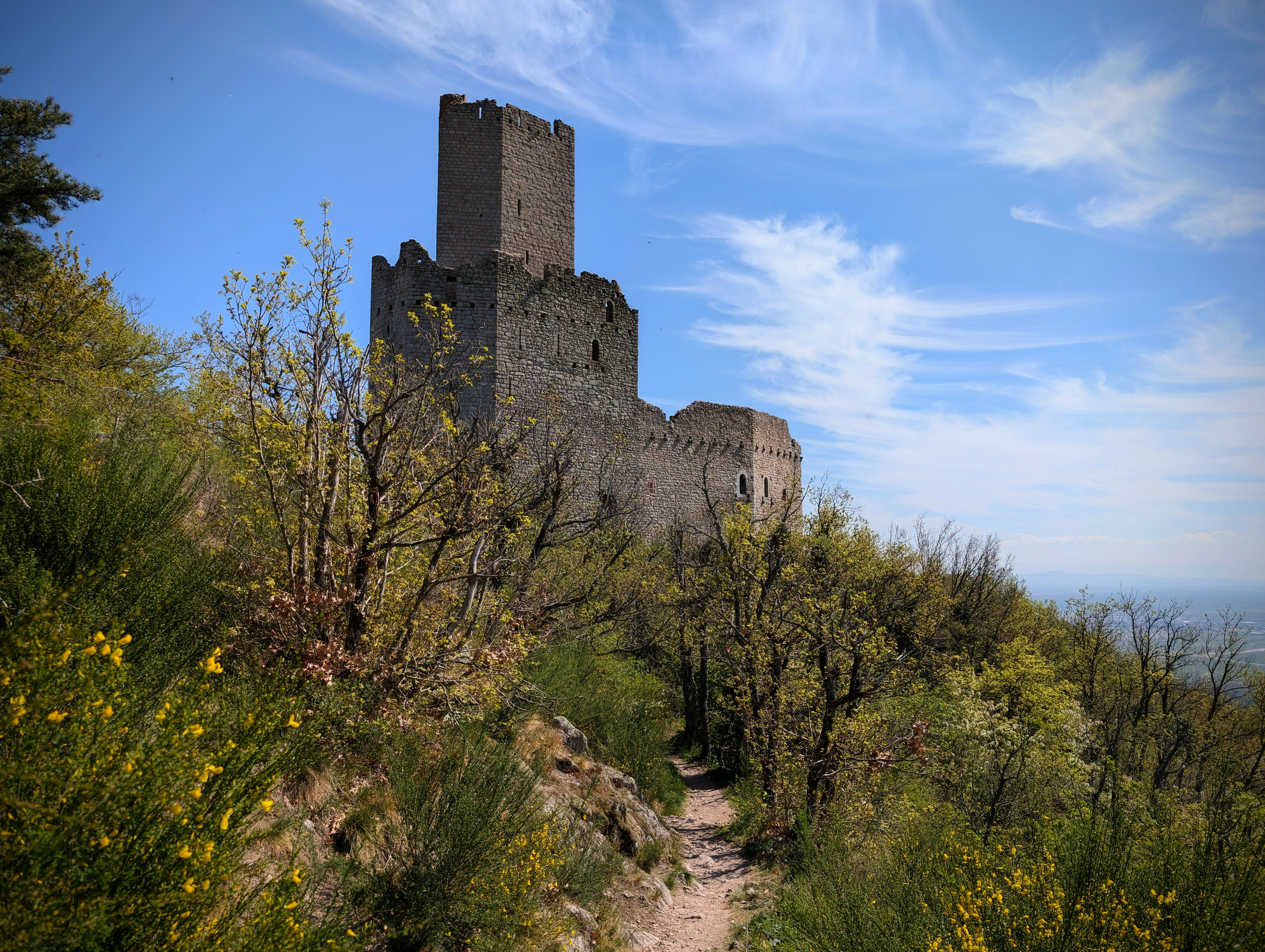 Colli Euganei Regional Park