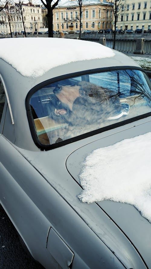 Free Gray Vehicle With Snow On Roof Stock Photo