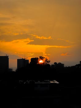 A stunning sunset with silhouetted city buildings and trees, capturing the vibrant orange sky.