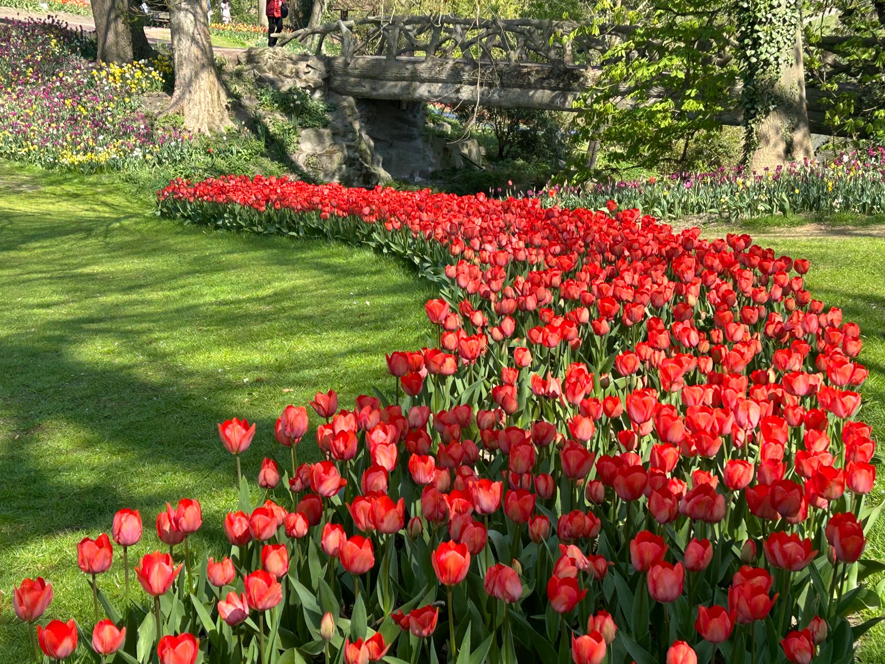 PRO Venlo viert geboorte met gratis tuin make-over actie