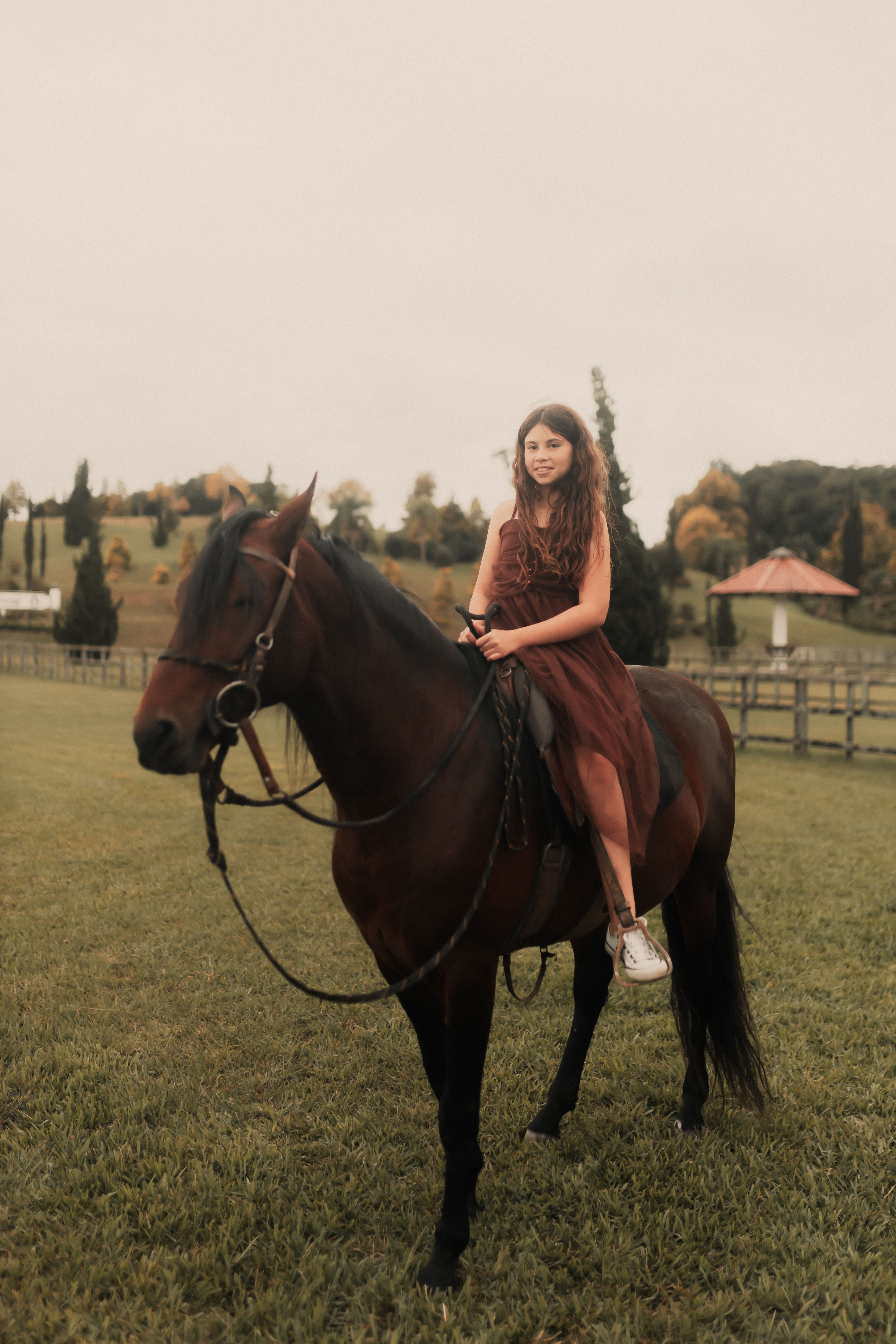 Photo of a Woman with Brown Hair Riding a Brown Horse · Free Stock Photo