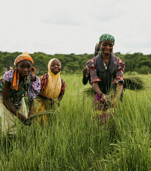 Vibrant scene of girls joyfully harvesting crops in a lush green field in Zaria, Nigeria.