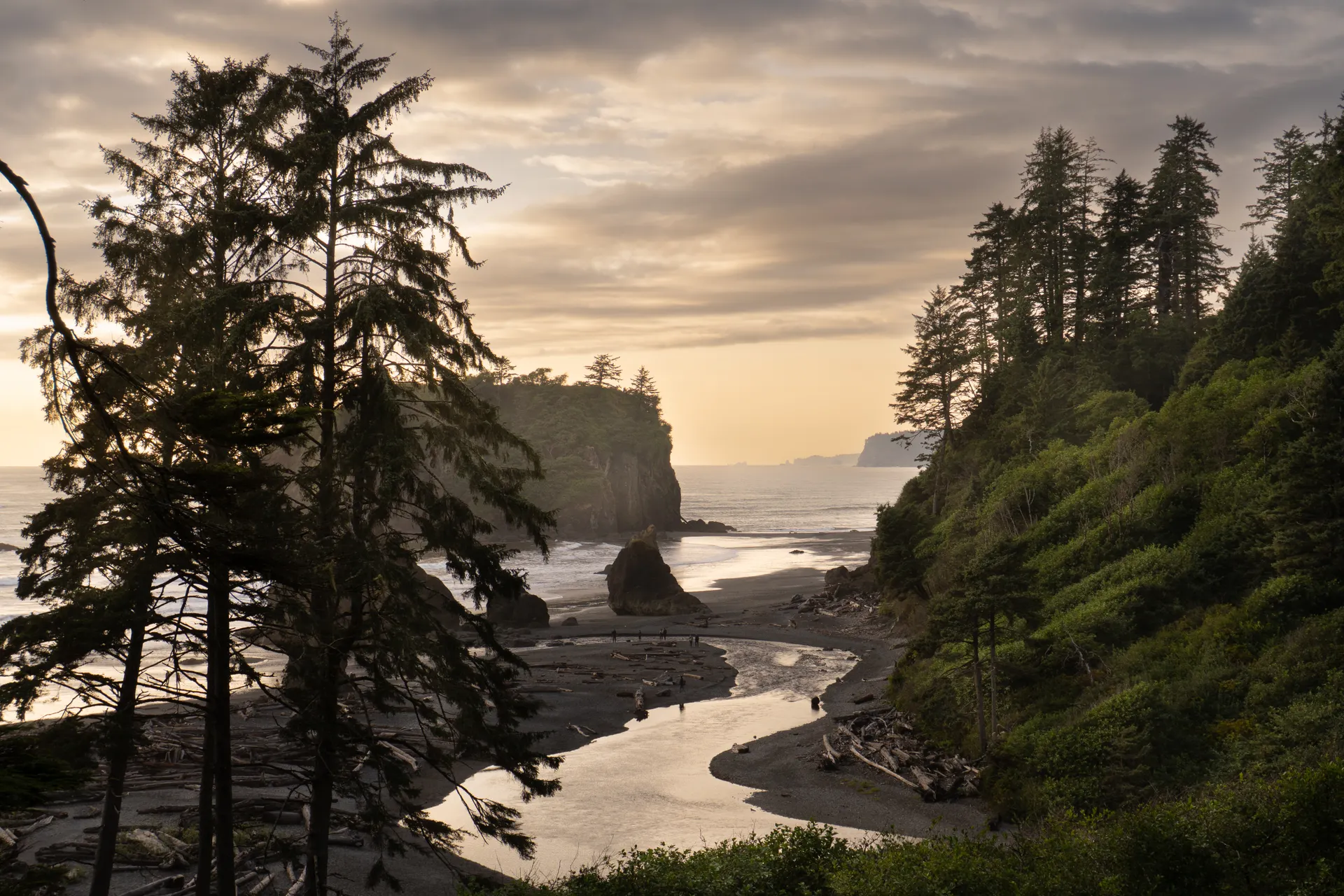 Olympic Peninsula Beaches: Ruby, Rialto, and the Best Coast Stops