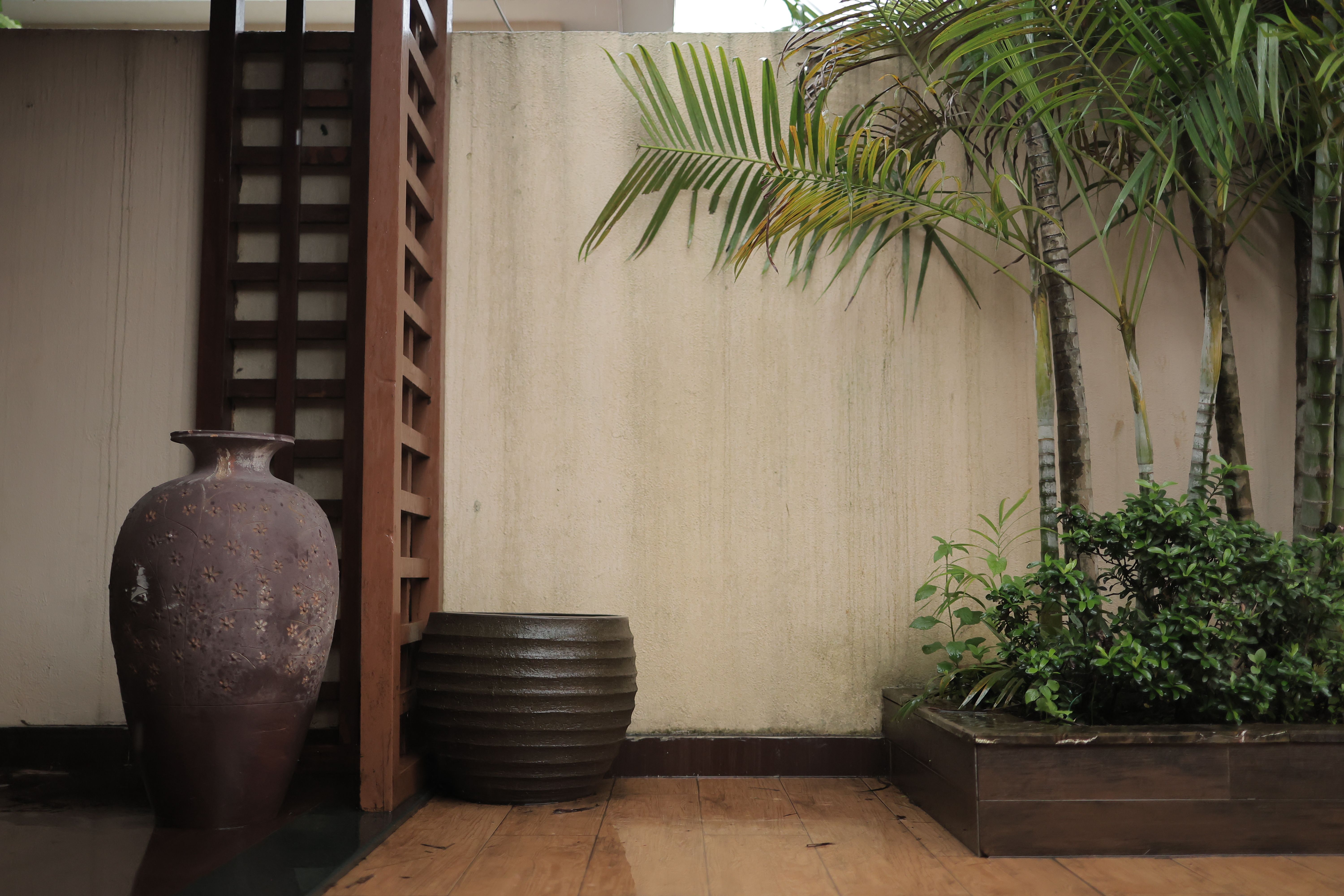 Fence and Decking Painting in Sundridge — woodwork brushed to a crisp, smooth line