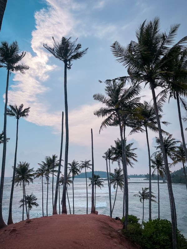 Where to Eat Near Coconut Tree Hill, Mirissa: A Local Guide