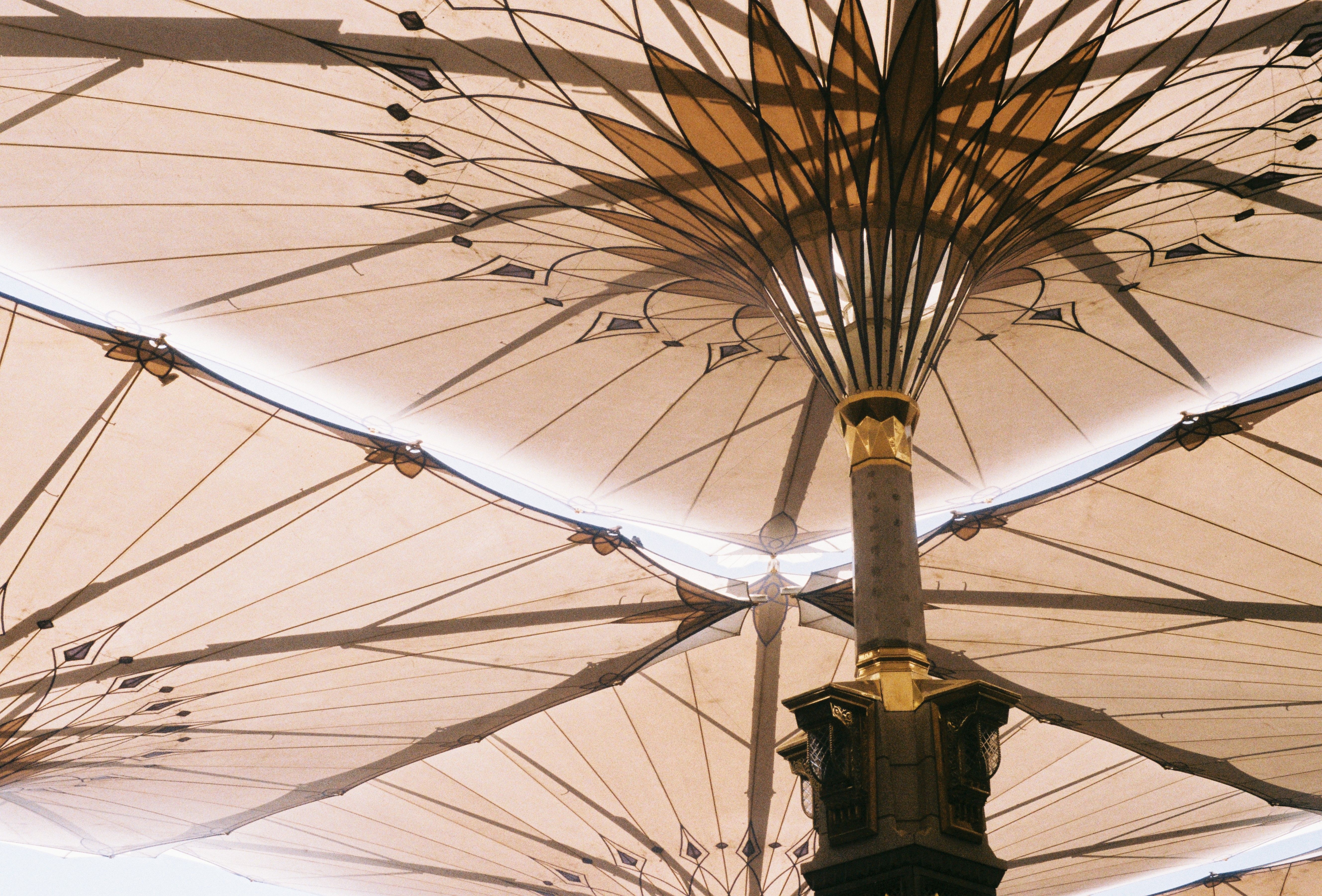 general entertainment authority saudi arabia — Photo by Hakam Magdea on Pexels