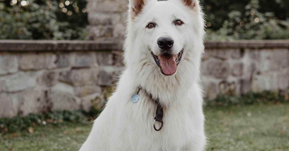 探索新北板橋Tpark科技特區的綠地休憩空間