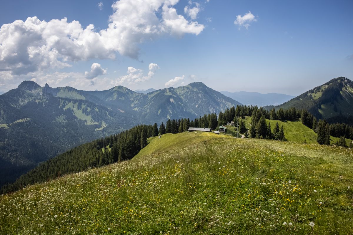 Alpine Berglandschaft mit grünen Wiesen