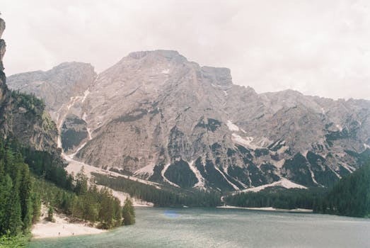 Image by Nadin Romanova